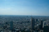 Tokyo Streets 2007.jpg